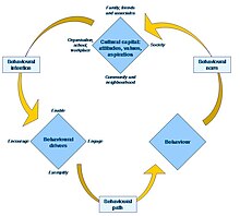 Model of culture change Culture change model.jpg