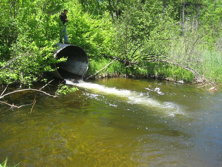 stream- Meaning in Bengali - HinKhoj English Bengali Dictionary