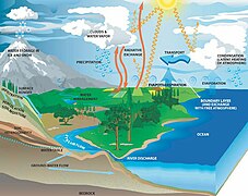 Water cycle [3]