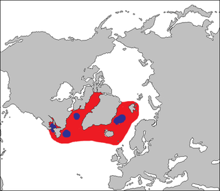 Mapa występowania