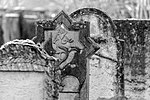 Thumbnail for File:Dülmen, Jüdischer Friedhof -- 2023 -- 6451 (bw).jpg