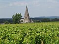 Vignette pour Saumur-champigny