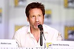 Miniatura David Duchovny