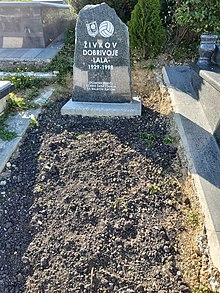 Dobrivoje Živkov grave.jpg