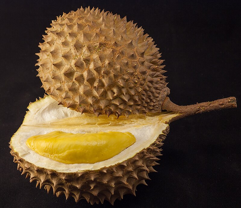 Spiky brown durian fruit open down the middle.