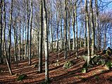 Das gelände rund um die Ebersburg im "Naturpark Hessosche Rhön"