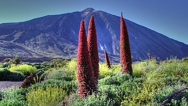 Mount Teide