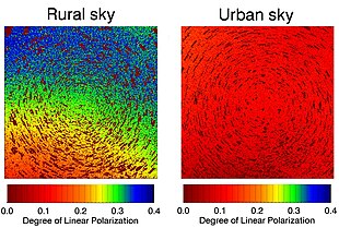 Skyglow is mostly unpolarized, and its addition to moonlight results in a decreased polarization signal. Humans cannot perceive this pattern, but some arthropods can. Effect of light pollution on sky polarization.jpg