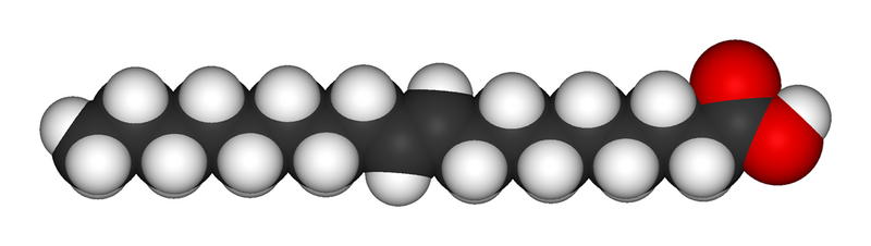 File:Elaidic-acid-3D-vdW.png