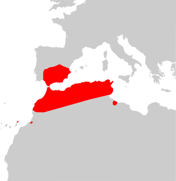 File:Eptesicus isabellinus range Map.png