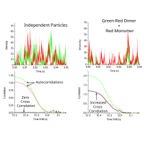 FCCS Simulations demonstrating non-interacting particles (left) and a mixture of interacting and independent particles (right) FCCS Simulations.svg