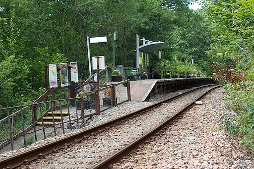 Falls of Cruachan Railway Halt (14002361581)