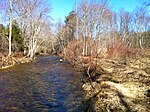 Fenton River