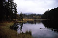 image=https://commons.wikimedia.org/wiki/File:Fichtelsee_01.jpg