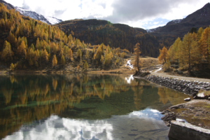 Fishing lake in Ultental / South Tyrol