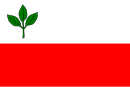 Flagge von Bučina