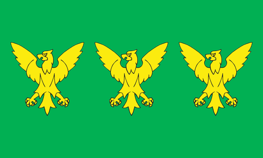 Vlag van Caernarfonshire