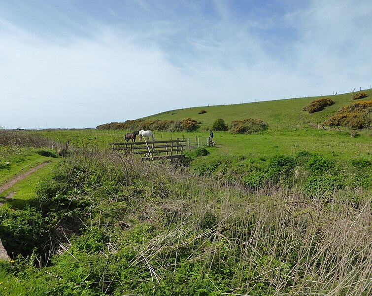 File:Footbridge ^ horses - geograph.org.uk - 4487105.jpg