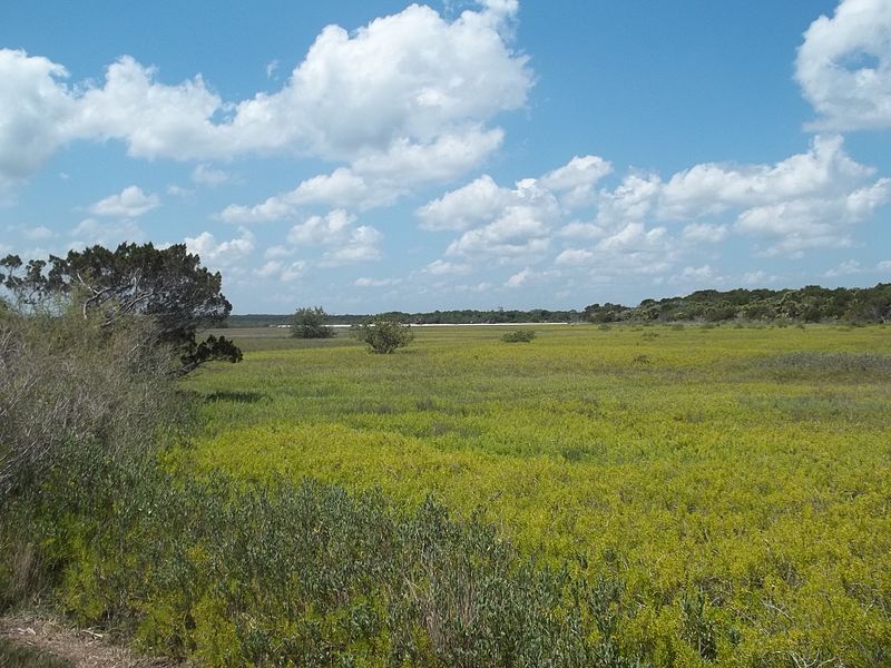 File:Fort Matanzas inlet from fort01.jpg