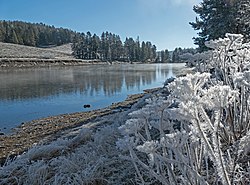 Frost along the Yellowstone River (31218032842).jpg