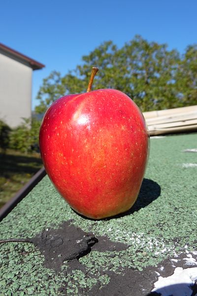 File:Fruit Modi apple.jpg