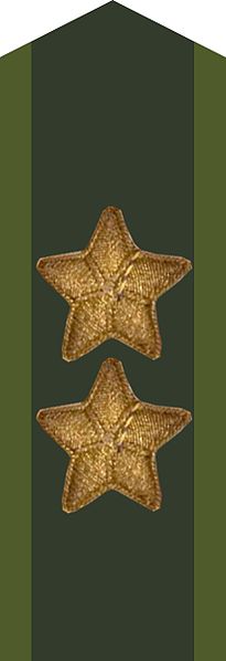 File:Generallöjtnant kragspegel m58 stjärna m39.jpg