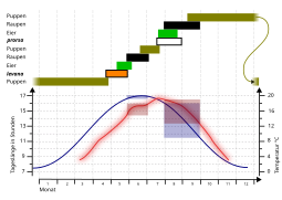 Generation cycle in Germany (52° North)