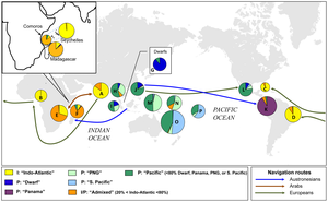 Geographical distributions of Indo-Atlantic and Pacific coconut subpopulations and their genetic composition (Gunn et al., 2011)[49]