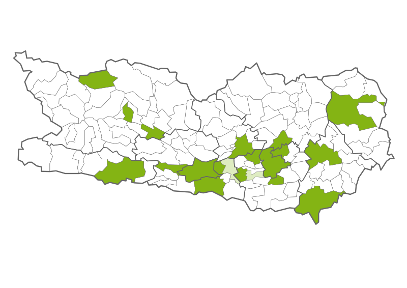 File:Grüne in Kärntner Gemeinderäten.svg