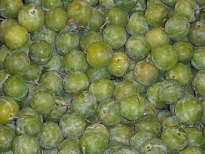 Greengages 0.jpg