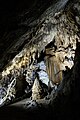 * Nomination Speleothem in Caves of Han-sur-Lesse. --Musicaline 13:03, 1 July 2019 (UTC) Comment The dark parts are underexposed --Moroder 06:19, 2 July 2019 (UTC)  I withdraw my nomination --Musicaline 06:33, 3 July 2019 (UTC) * Withdrawn {{{2}}}