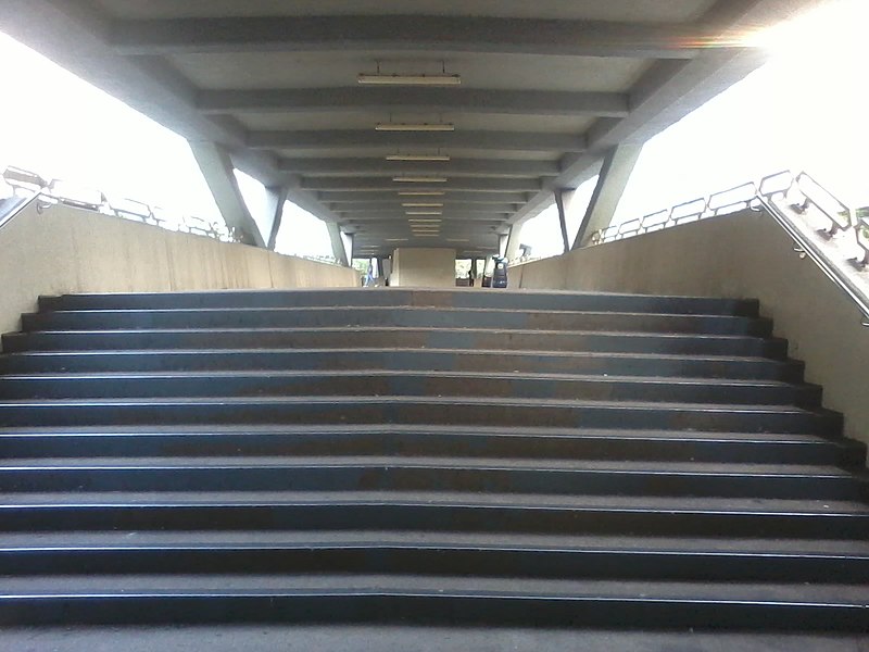 File:HK Tai Po 大埔 Jade Plaza 翠屏花園 footbridge stairs Jan-2013.jpg