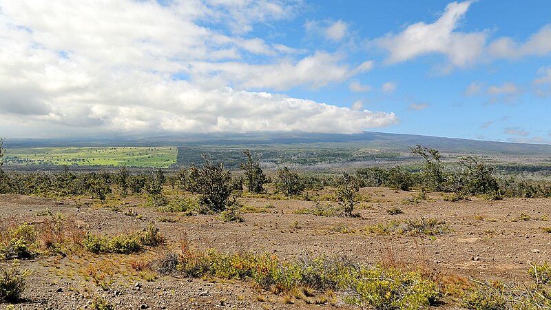 File:Hawaii Volcanoes National Park (504418) (23776575086).jpg