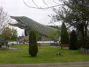 The world's largest muskie, at the National Fresh Water Fishing Hall of Fame, is Hayward's most famous landmark. HaywardMuskie-061-050507.jpg