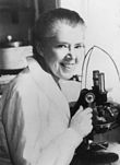 Dr. Fell at her lab in Cambridge in the 1950s Honor Fell 2.jpg