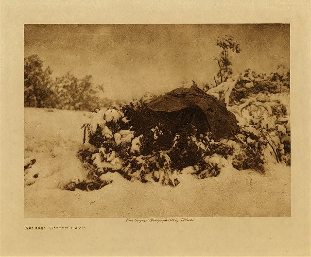 A Hualapai winter camp, photographed by Edward Curtis, 1907.