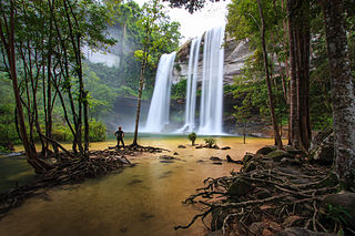 Phu Chong–Na Yoi National Park