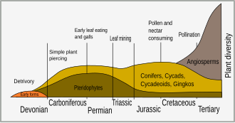 Timeline of plant evolution and the beginnings of different modes of insect herbivory InsectPlantEvol.svg