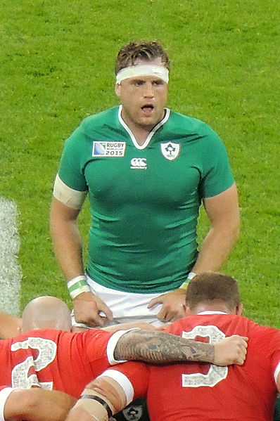 File:Jamie Heaslip 2015 RWC.jpg