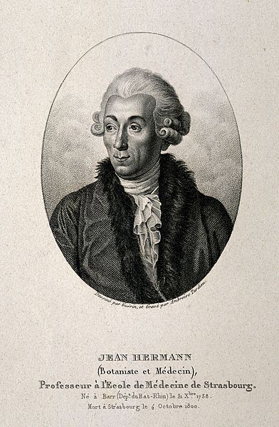 File:Jean Hermann. Stipple engraving by A. Tardieu after C. Guéri Wellcome V0002711.jpg