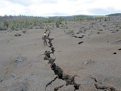 Ground cracks at an east-west segment of Kamoamoa after its 2011 fissure eruption. The geologist is about 180 cm (5.9 ft) tall. Kamoamoa 2011-03-10 ground cracks.jpg