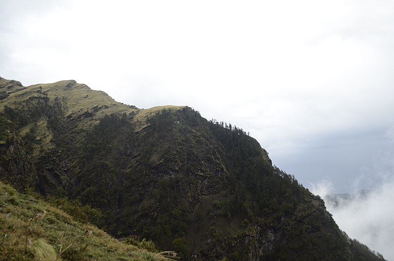 File:Kedarnath Wildlife Sanctuary JEG0571.jpg