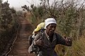 Kilimanjaro Mountain Guide