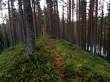 Inner-Abbortjärnen en Vändåtberget