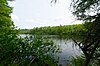 Озеро Альва Birch-Hemlock.jpg