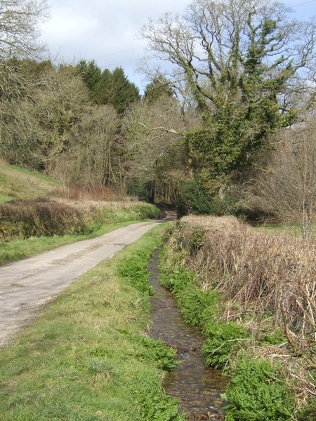 File:Lane and stream - geograph.org.uk - 366544.jpg