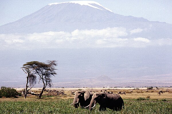 Le Kilimandjaro 1987.jpg