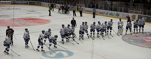 Hockeyallsvenskan Wikiwand