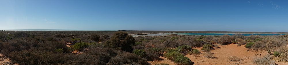 Little Lagoon, north of Denham, Western Australia.jpg