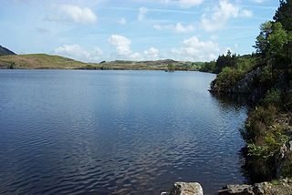 <span class="mw-page-title-main">Llyn Bodgynydd</span>